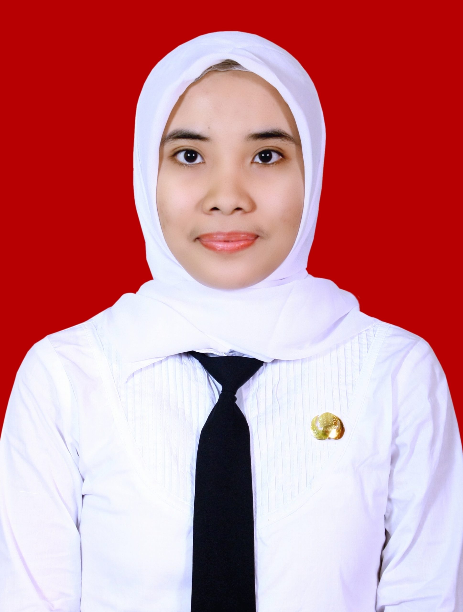 Peneliti buku pusat strategi kebijakan hukum dan peradilan ma ri